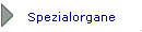 Spezialorgane